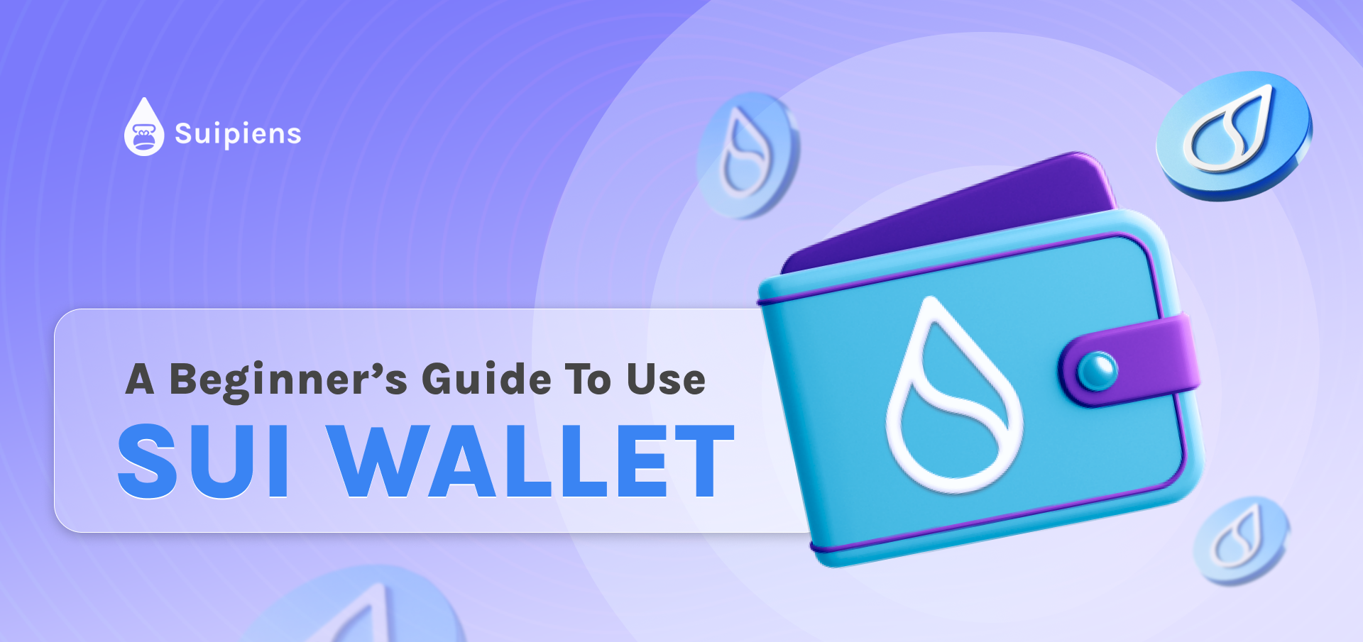 A Beginners Guide To Use Sui Wallet