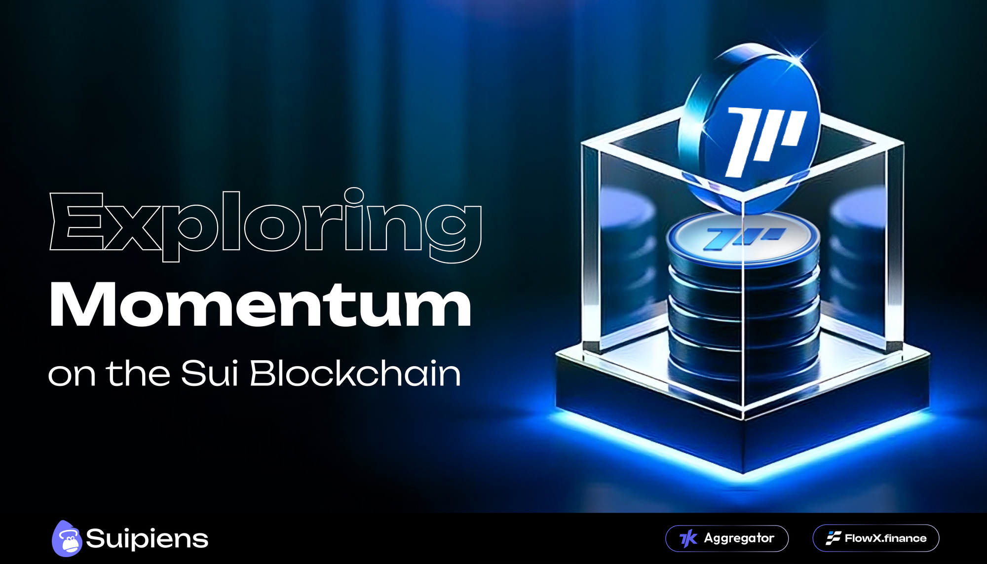 Exploring Momentum on the Sui Blockchain