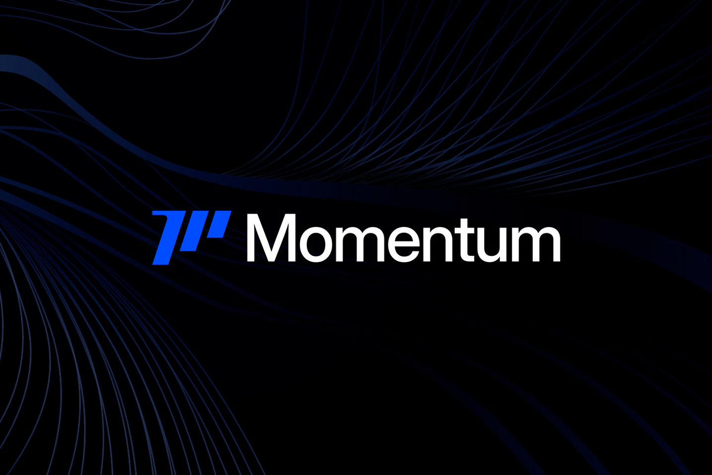 Exploring Momentum on the Sui Blockchain