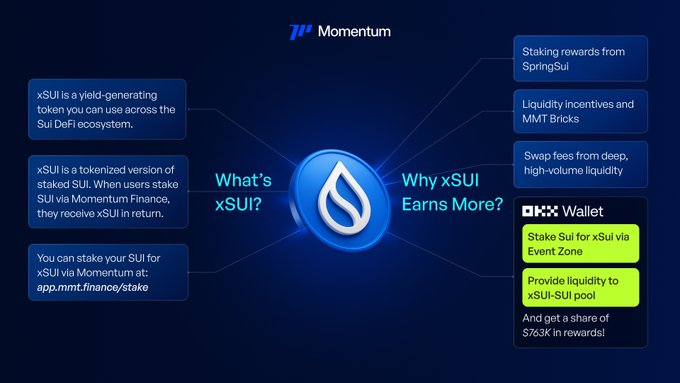 Exploring Momentum on the Sui Blockchain