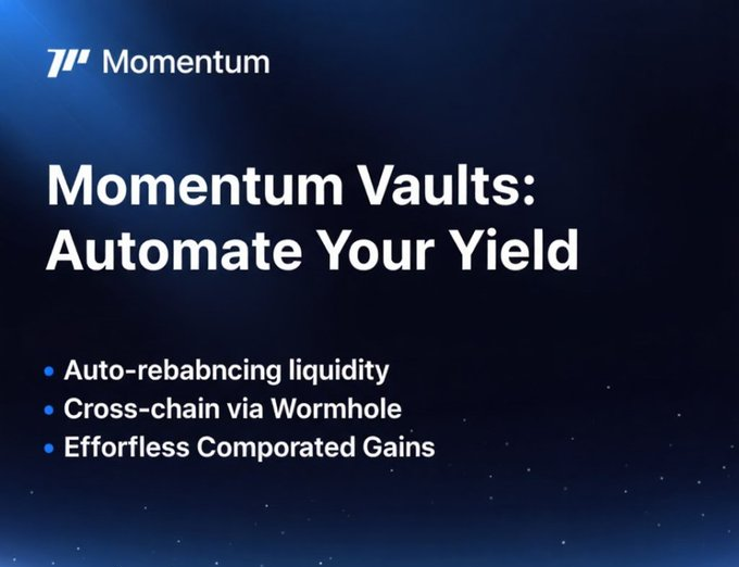 Exploring Momentum on the Sui Blockchain