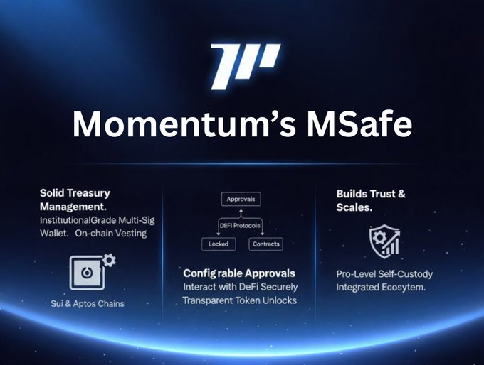 Exploring Momentum on the Sui Blockchain