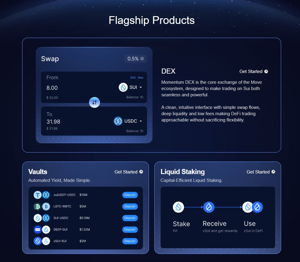 Exploring Momentum on the Sui Blockchain