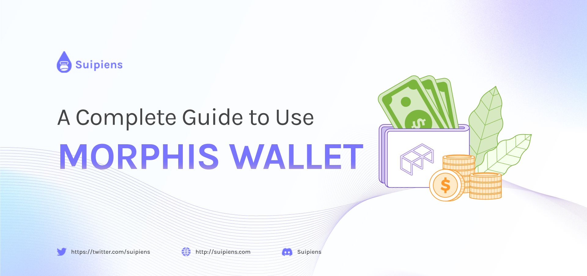 A Complete Guide To Use Morphis Wallet
