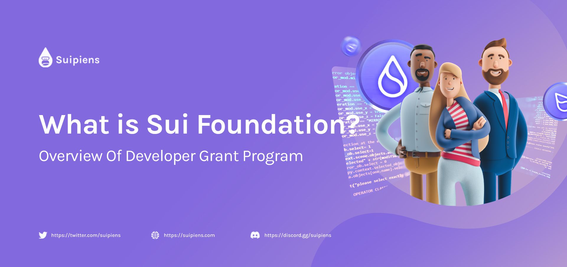 What is Sui Foundation? Overview Of the Developer Grant Program
