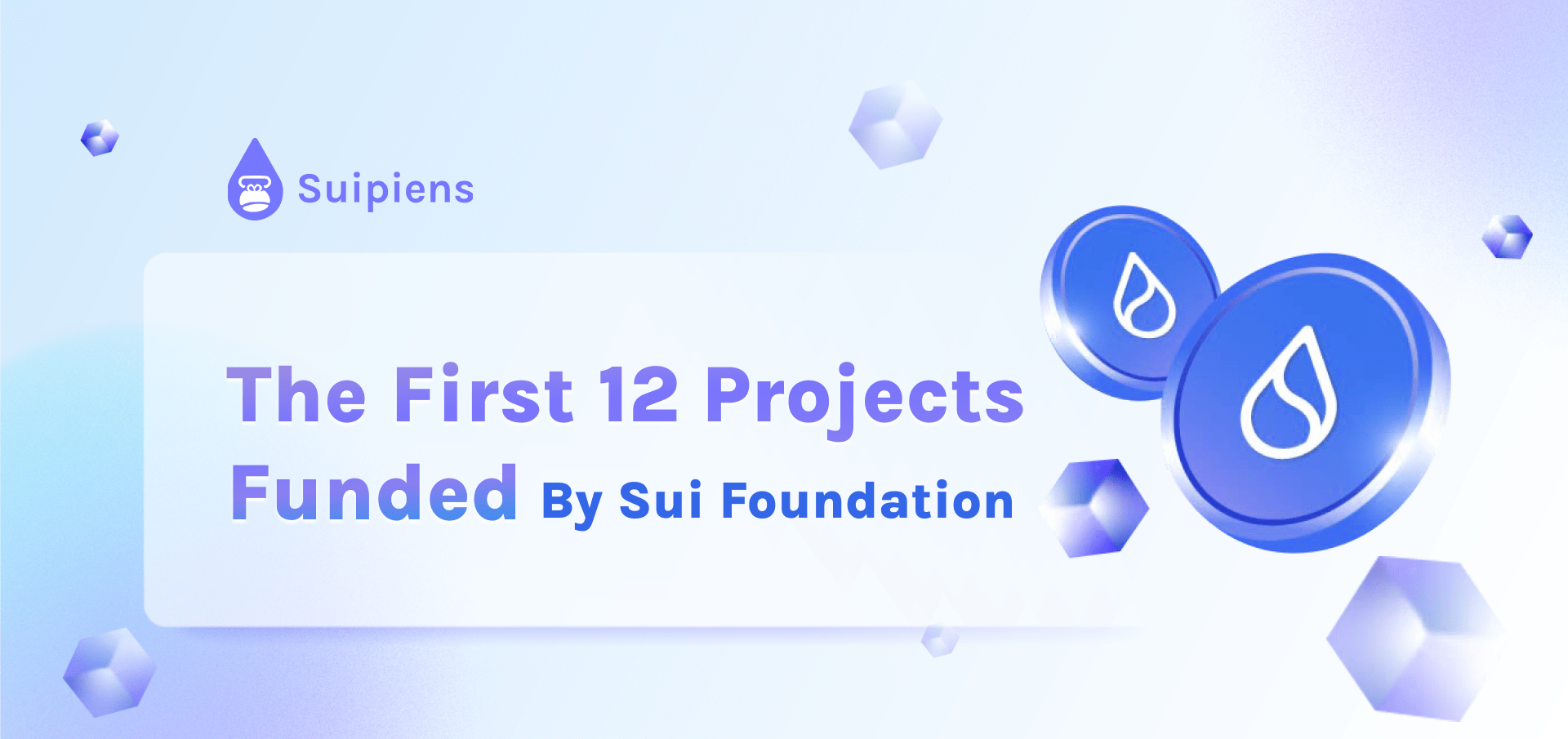 The First 12 Projects Funded By Sui Foundation