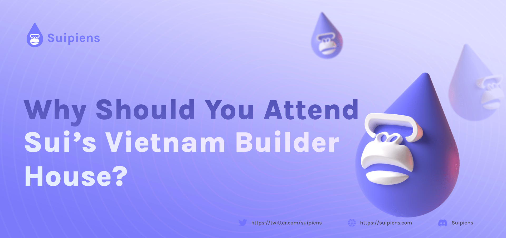 Why Should You Attend Sui’s Vietnam Builder House?