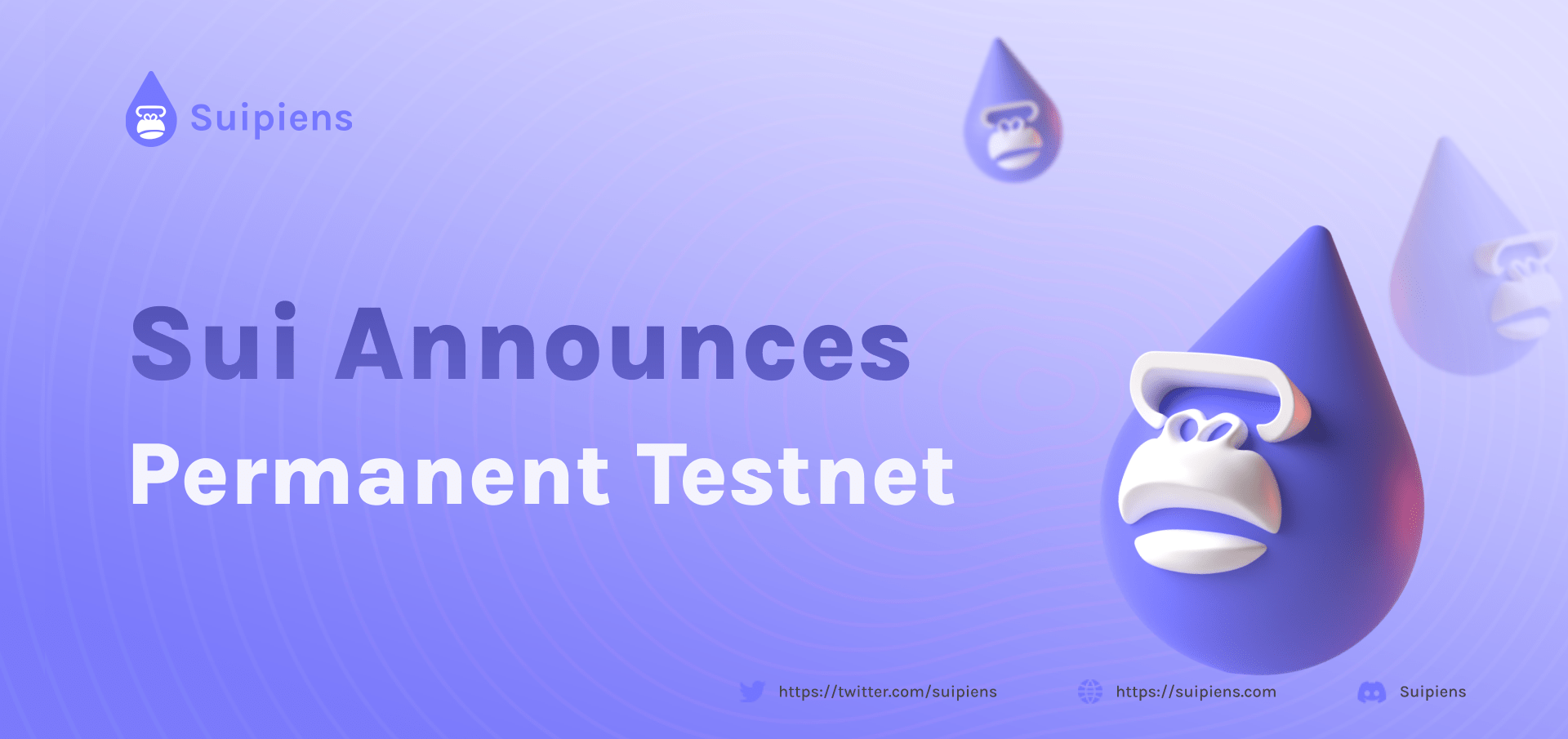 Sui Announced Permanent Testnet