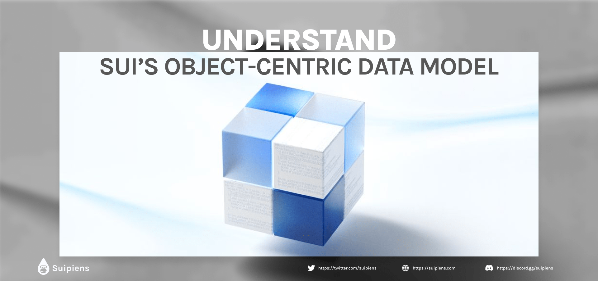 Understand Sui’s Object-centric Data Model