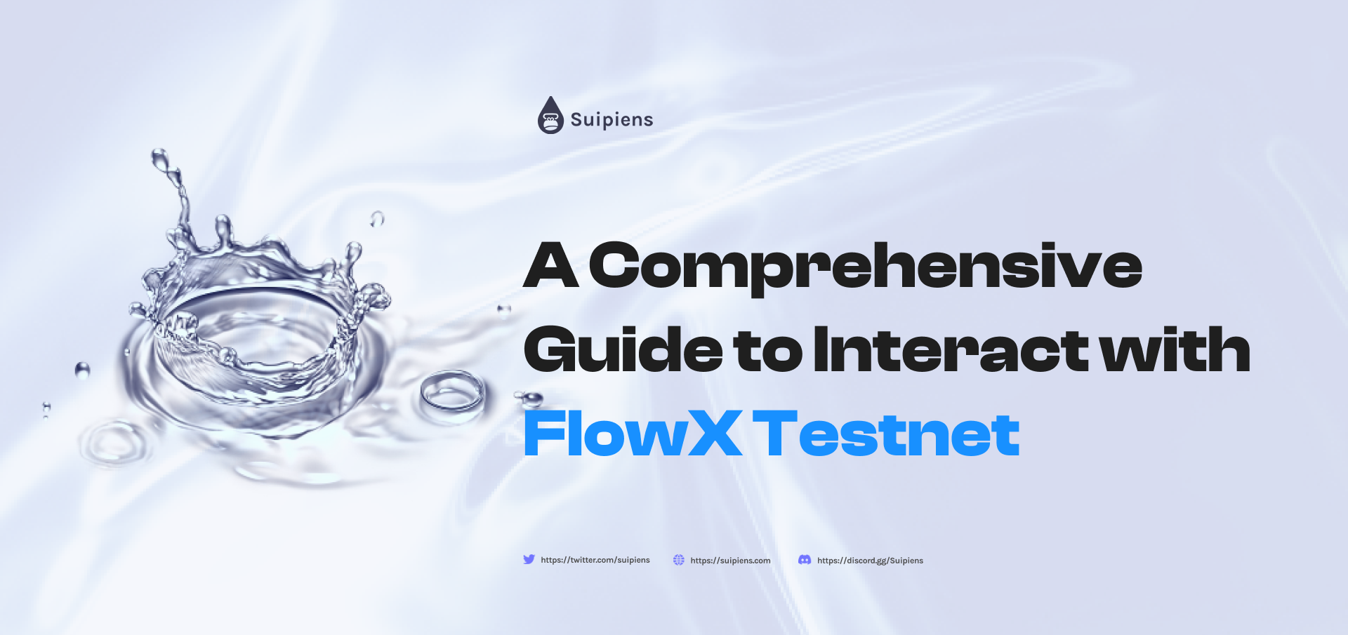 A Comprehensive Guide to Interact with FlowX Testnet