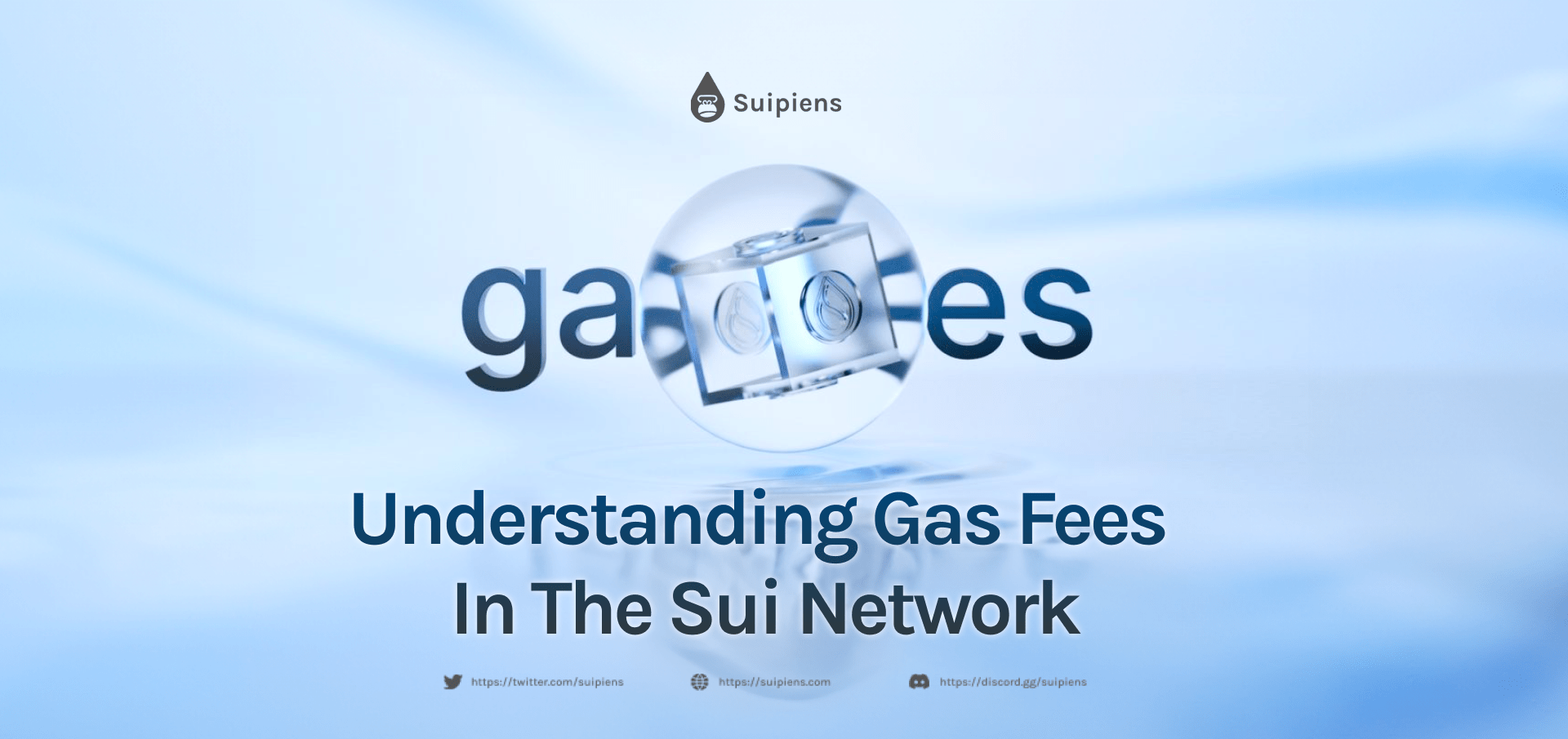 Understanding Gas Fees in the Sui Network