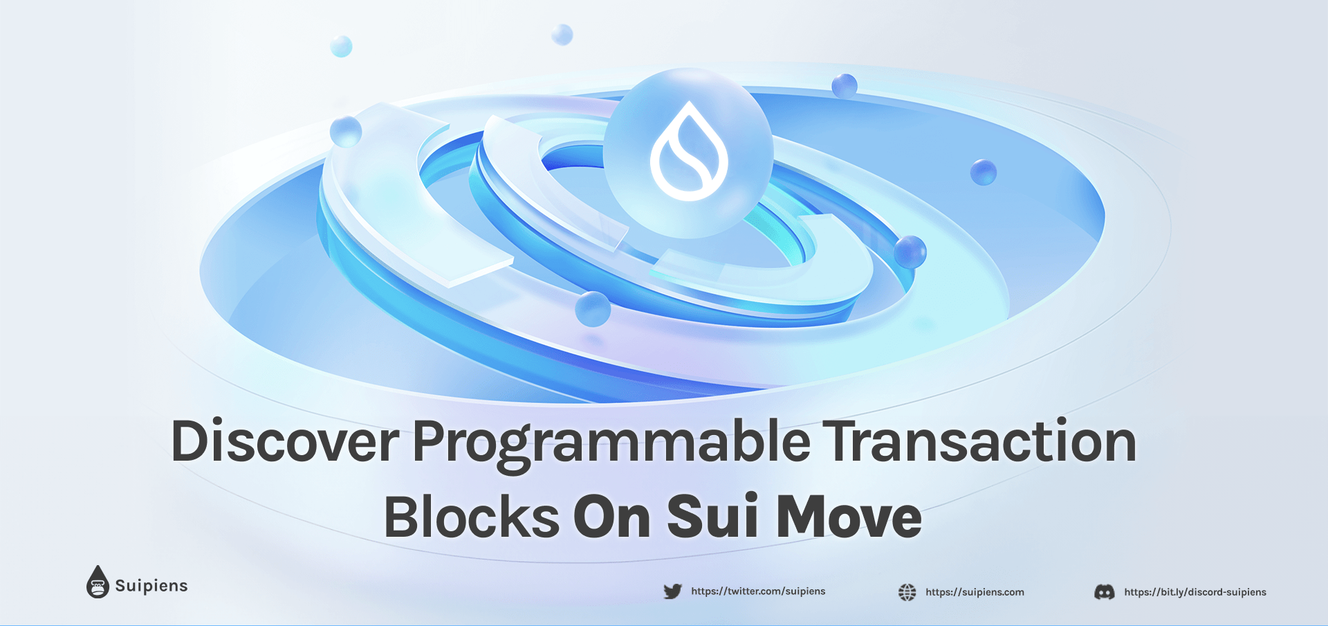 Discover Programmable Transaction Blocks on Sui Move