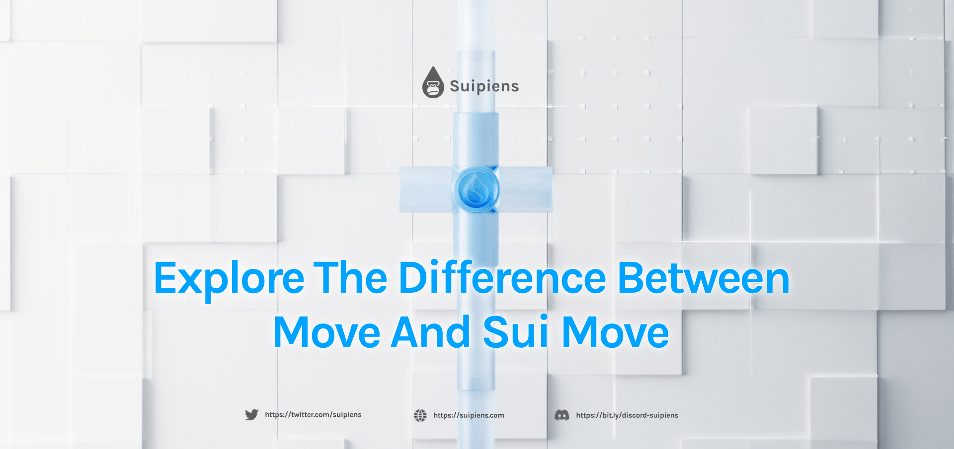 Explore the Difference between Move and Sui Move