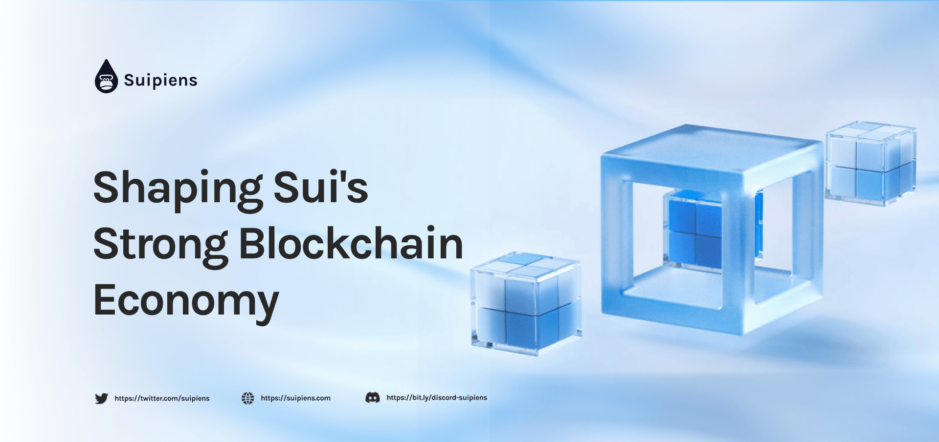 Shaping Sui's Strong Blockchain Economy