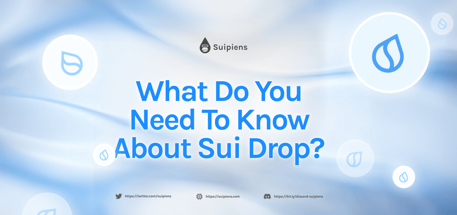What do you need to know about Sui Drop?