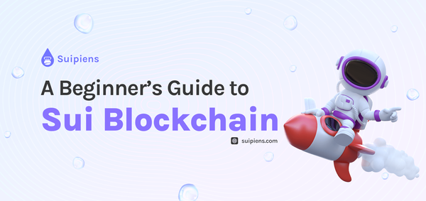 A Beginner's Guide To Sui Blockchain
