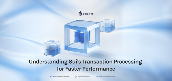 Understanding Sui's Transaction Processing for Faster Performance