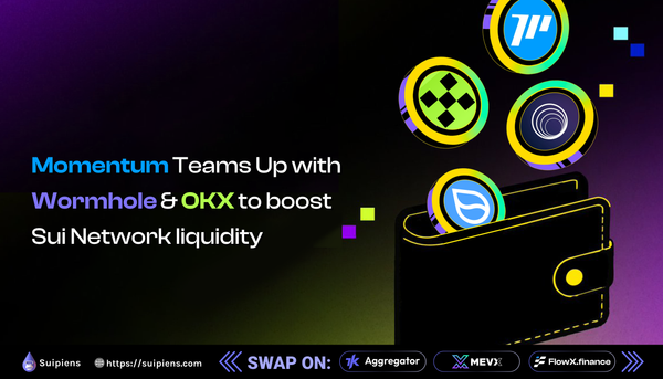 Momentum Teams Up with Wormhole & OKX to boost Sui Network liquidity